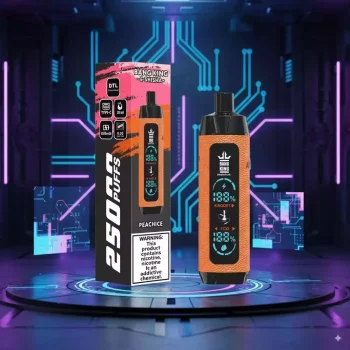 Bang King 25K Shisha 25000 Puffs Disposable Vape