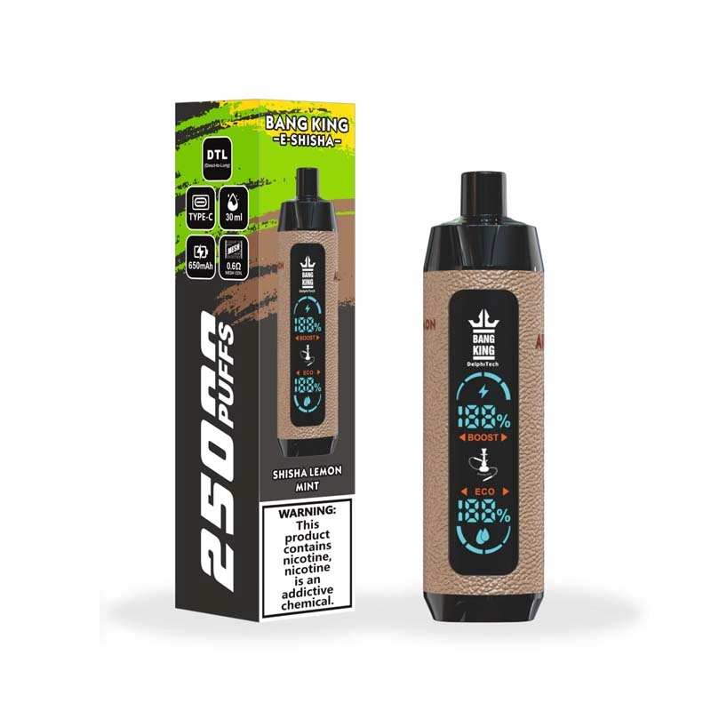 Bang King 25K Shisha 25000 Puffs Disposable Vape Shisha Lemon Mint Bang King 25K Shisha 25000 Puffs Disposable Vape Shisha Lemon Mint
