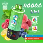 Bang Leader 110K Vape 6-in-1 Flavor Mix Switch 110000 Puffs Vape EU Warehouse Shipping (1)