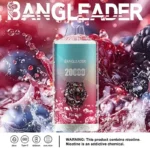 Bang Leader 20K Puffs Disposable Vape Dual Mesh Tiger Design  Shipping from EU Warehouse 1