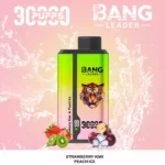 Bang Leader 30000 Puffs Disposable Vape 2-in-1 Dual Flavor