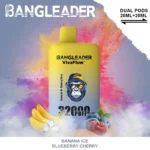 Bang Leader 32K Vape Dual Flavor 32000 Puffs Disposable Vape EU Warehouse Fast Shipping