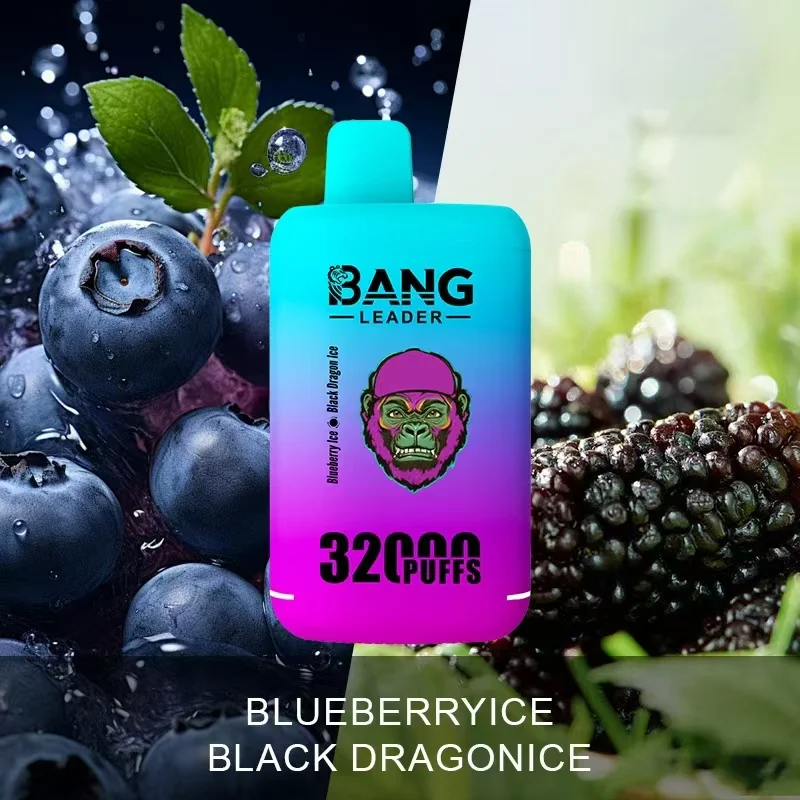 Bang Leader 32K Vape Dual Flavor 32000 Puffs Disposable Vape EU Warehouse Fast Shipping Blueberry Ice & Black Dragon Ice Bang Leader 32K Vape Dual Flavor 32000 Puffs Disposable Vape EU Warehouse Fast Shipping Blueberry Ice & Black Dragon Ice