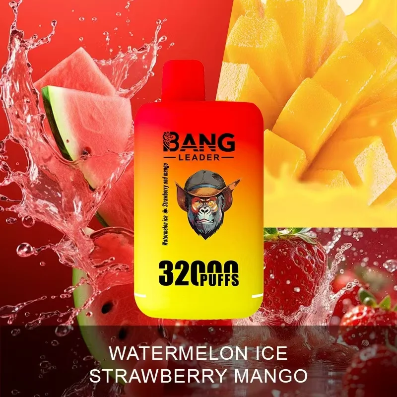 Bang Leader 32K Vape Dual Flavor 32000 Puffs Disposable Vape EU Warehouse Fast Shipping Watermelon Ice & Strawberry Mango Bang Leader 32K Vape Dual Flavor 32000 Puffs Disposable Vape EU Warehouse Fast Shipping Watermelon Ice & Strawberry Mango