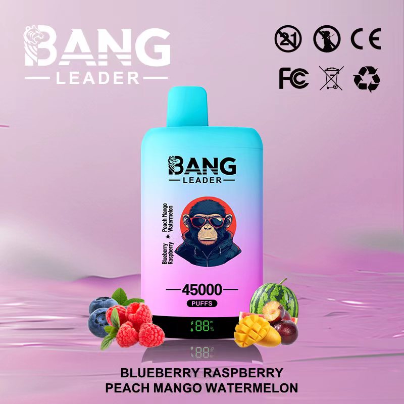 Bang Leader 45K Vape Dual Flavor LED Screen 45000 Puffs Disposable Vape EU Warehouse Shipping Blueberry Raspberry & Peach Mango Watermelon Bang Leader 45K Vape Dual Flavor LED Screen 45000 Puffs Disposable Vape EU Warehouse Shipping Blueberry Raspberry & Peach Mango Watermelon