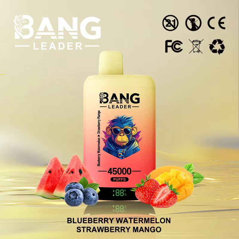 Bang Leader 45K Vape Dual Flavor LED Screen 45000 Puffs Disposable Vape EU Warehouse Shipping Blueberry Watermelon & Strawberry Mango Bang Leader 45K Vape Dual Flavor LED Screen 45000 Puffs Disposable Vape EU Warehouse Shipping Blueberry Watermelon & Strawberry Mango