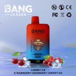Bang Leader 45K Vape Dual Flavor LED Screen 45000 Puffs Disposable Vape EU Warehouse Shipping