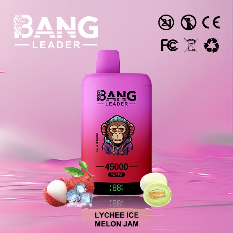 Bang Leader 45K Vape Dual Flavor LED Screen 45000 Puffs Disposable Vape EU Warehouse Shipping Lychee Ice & Melon Jam Bang Leader 45K Vape Dual Flavor LED Screen 45000 Puffs Disposable Vape EU Warehouse Shipping Lychee Ice & Melon Jam