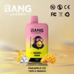 Bang Leader 45K Vape Dual Flavor LED Screen 45000 Puffs Disposable Vape EU Warehouse Shipping