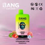 Bang Leader 45K Vape Dual Flavor LED Screen 45000 Puffs Disposable Vape EU Warehouse Shipping