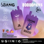 Bang Leader 80K Vape 3-in-1 Flavor 80000 Puffs Disposable Vape EU Warehouse Shipping