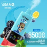 Bang Leader 85K Puffs Disposable Vape 3-in-1 Flavor Switch Smart Display Monkey Design