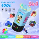 Bang DE 300K Vape 5in1 Flavors Main Image