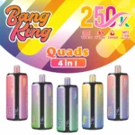 Bang-King-250K-4-in-1-main-picture