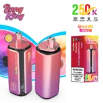 Bang-King-250K-4-in-1-main-picture