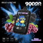 Bang DE Vape 90000 Puffs Disposable Vape Main Image
