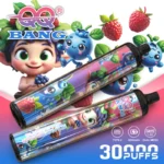 QQ Bang 30000 Puffs Vape Pen Watermelon Ice