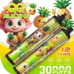 QQ Bang 30000 Puffs Vape Pen Watermelon Ice