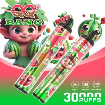 QQ Bang 30000 Puffs Vape Pen all flavors